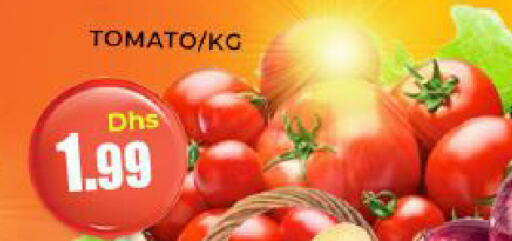  Tomato  in Meena Al Madina Hypermarket  in UAE - Sharjah / Ajman