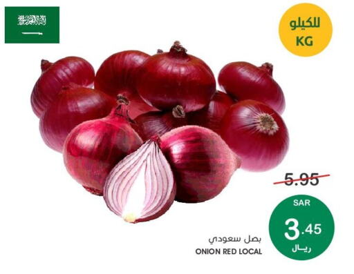  Onion  in Mazaya in KSA, Saudi Arabia, Saudi - Dammam