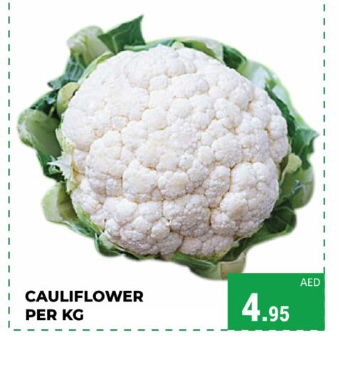  Cauliflower  in كيرالا هايبرماركت in الإمارات العربية المتحدة , الامارات - رَأْس ٱلْخَيْمَة