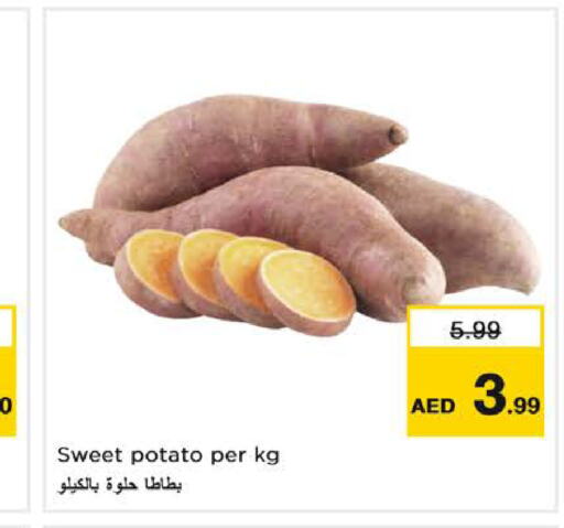  Sweet Potato  in نستو هايبرماركت in الإمارات العربية المتحدة , الامارات - دبي