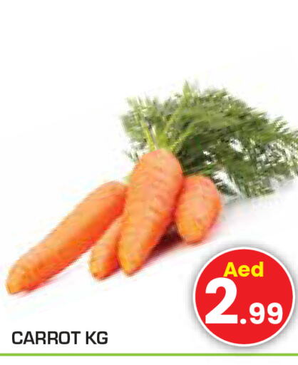  Carrot  in سنابل بني ياس in الإمارات العربية المتحدة , الامارات - رَأْس ٱلْخَيْمَة