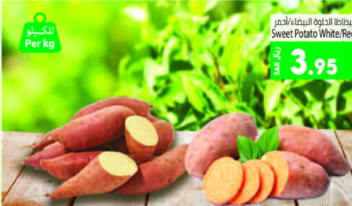  Sweet Potato  in Kabayan Hypermarket in KSA, Saudi Arabia, Saudi - Jeddah