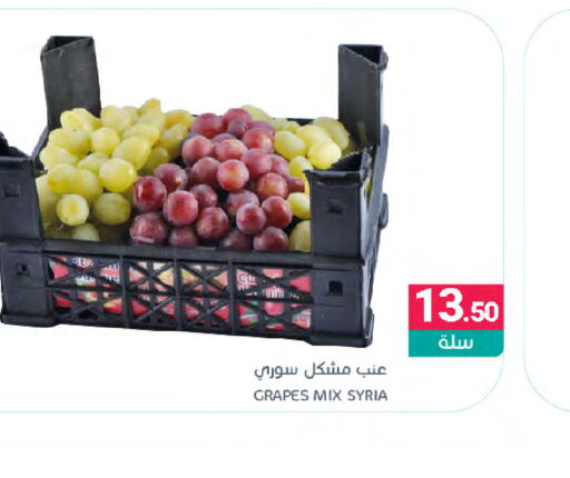  Grapes  in Muntazah Markets in KSA, Saudi Arabia, Saudi - Qatif