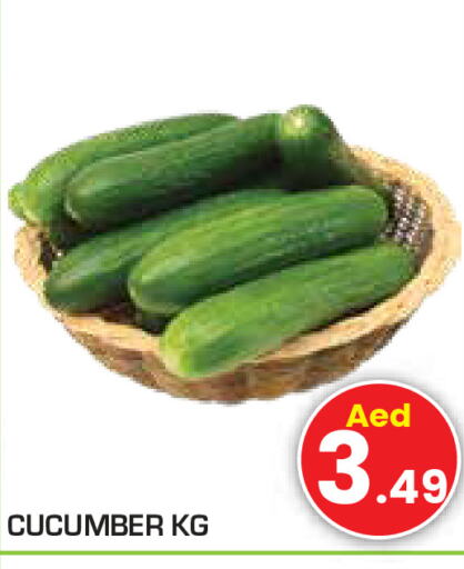  Cucumber  in سنابل بني ياس in الإمارات العربية المتحدة , الامارات - رَأْس ٱلْخَيْمَة