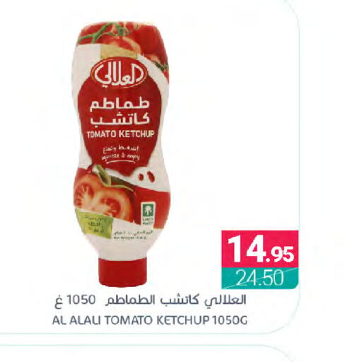 AL ALALI Tomato Ketchup  in Muntazah Markets in KSA, Saudi Arabia, Saudi - Dammam