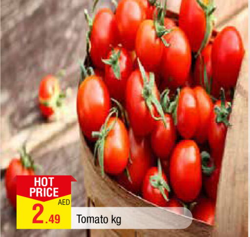  Tomato  in AL MADINA in UAE - Sharjah / Ajman