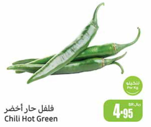  Chilli / Capsicum  in Othaim Markets in KSA, Saudi Arabia, Saudi - Buraidah