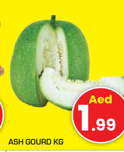  Gourd  in سنابل بني ياس in الإمارات العربية المتحدة , الامارات - رَأْس ٱلْخَيْمَة