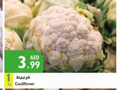  Cauliflower  in إسطنبول سوبرماركت in الإمارات العربية المتحدة , الامارات - رَأْس ٱلْخَيْمَة