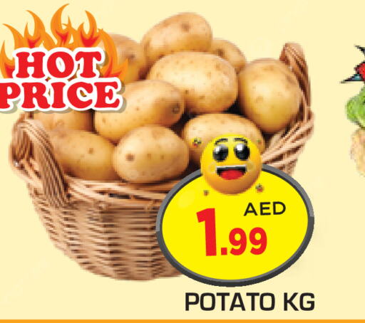  Potato  in سنابل بني ياس in الإمارات العربية المتحدة , الامارات - ٱلْعَيْن‎