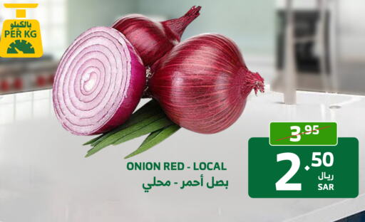 Onion