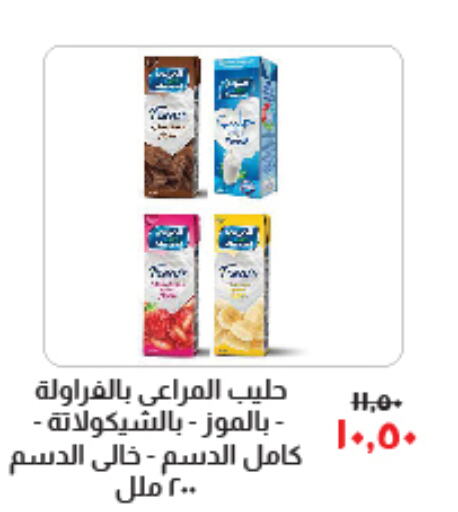 ALMARAI Flavoured Milk  in Kheir Zaman  in Egypt - Cairo