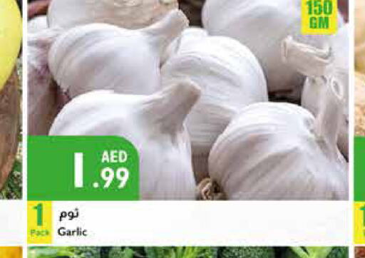  Garlic  in إسطنبول سوبرماركت in الإمارات العربية المتحدة , الامارات - ٱلْعَيْن‎