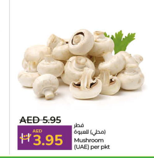  Mushroom  in لولو هايبرماركت in الإمارات العربية المتحدة , الامارات - أم القيوين‎