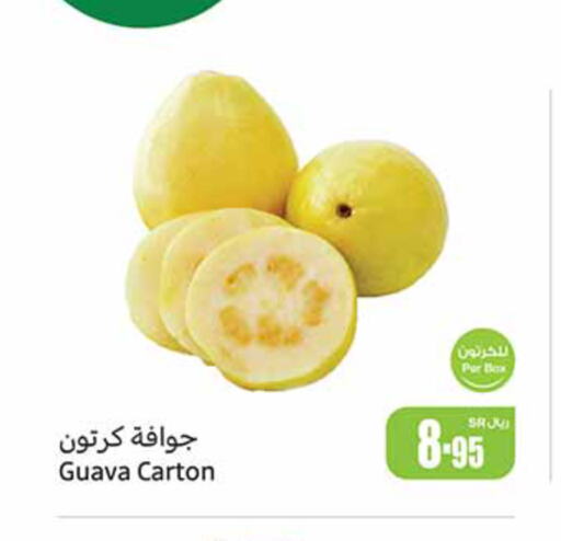  Guava  in Othaim Markets in KSA, Saudi Arabia, Saudi - Bishah