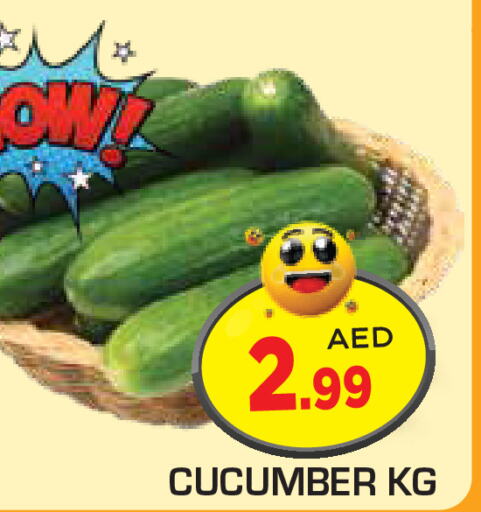  Cucumber  in سنابل بني ياس in الإمارات العربية المتحدة , الامارات - ٱلْعَيْن‎