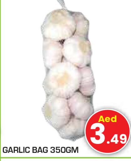  Garlic  in سنابل بني ياس in الإمارات العربية المتحدة , الامارات - رَأْس ٱلْخَيْمَة