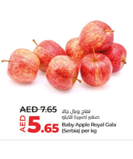  Apples  in Lulu Hypermarket in UAE - Al Ain