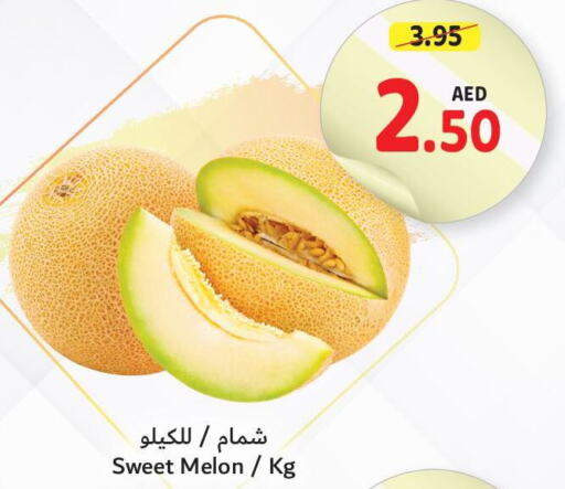  Sweet melon  in تعاونية أم القيوين in الإمارات العربية المتحدة , الامارات - الشارقة / عجمان