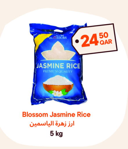 Jasmine