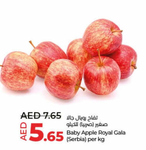  Apples  in لولو هايبرماركت in الإمارات العربية المتحدة , الامارات - ٱلْفُجَيْرَة‎