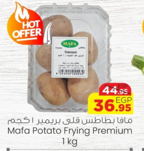  Potato  in جيان مصر in Egypt - القاهرة