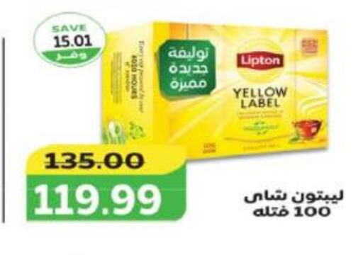 Lipton