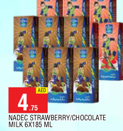 NADEC Flavoured Milk  in AL MADINA in UAE - Sharjah / Ajman