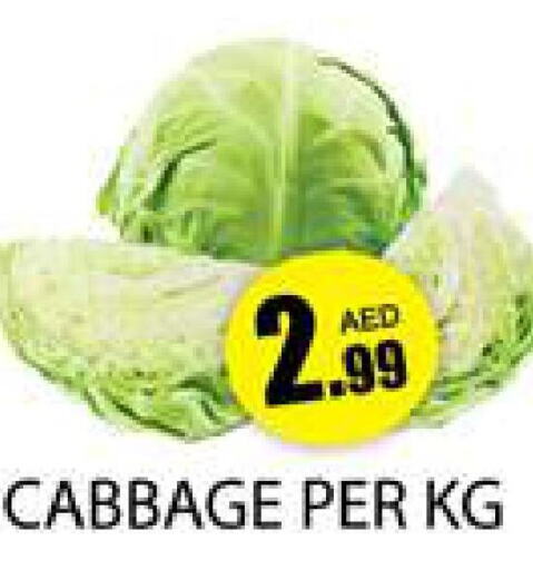  Cabbage  in زين مارت سوبرماركت in الإمارات العربية المتحدة , الامارات - رَأْس ٱلْخَيْمَة