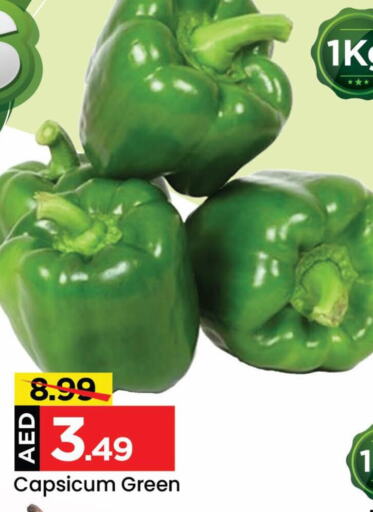  Chilli / Capsicum  in Mark & Save in UAE - Sharjah / Ajman