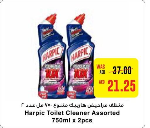 HARPIC Toilet / Drain Cleaner  in Earth Supermarket in UAE - Dubai