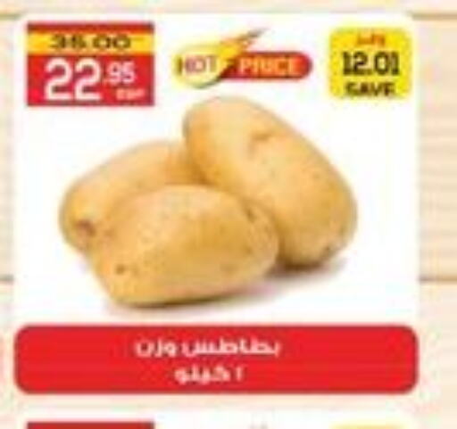  Potato  in  in Egypt - القاهرة