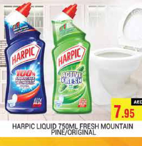 HARPIC Toilet / Drain Cleaner  in PASONS GROUP in UAE - Dubai