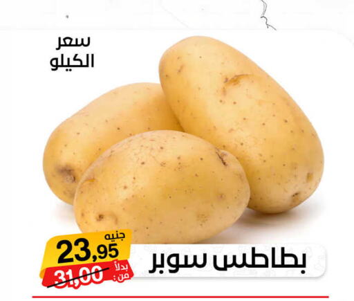  Potato  in بيت الجملة in Egypt - القاهرة