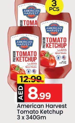 AMERICAN HARVEST Tomato Ketchup  in Mark & Save in UAE - Sharjah / Ajman