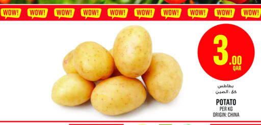  Potato  in مونوبريكس in قطر - الضعاين