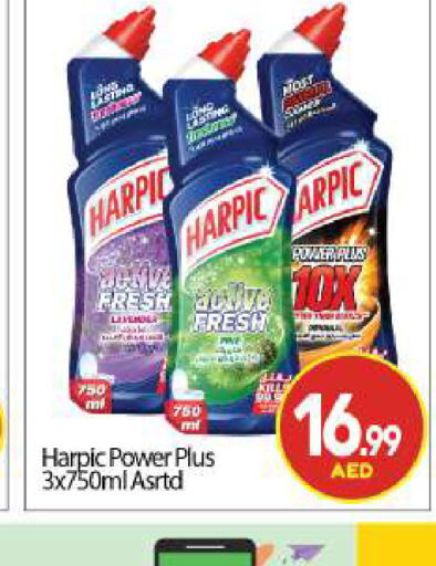 HARPIC Toilet / Drain Cleaner  in BIGmart in UAE - Dubai