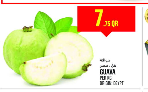  Guava  in مونوبريكس in قطر - الشحانية