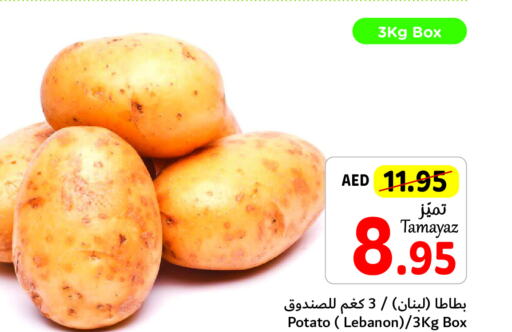  Potato  in تعاونية الاتحاد in الإمارات العربية المتحدة , الامارات - دبي