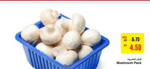  Mushroom  in  جمعية أبوظبي التعاونية in الإمارات العربية المتحدة , الامارات - رَأْس ٱلْخَيْمَة