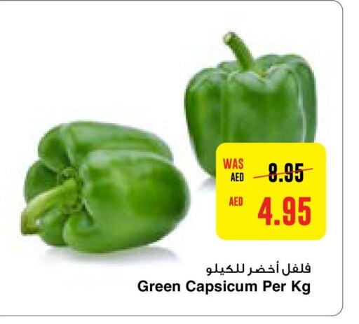  Chilli / Capsicum  in  جمعية أبوظبي التعاونية in الإمارات العربية المتحدة , الامارات - رَأْس ٱلْخَيْمَة