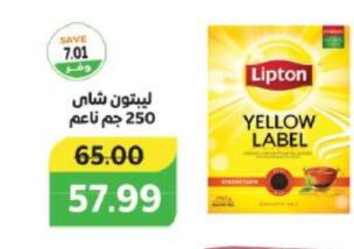 Lipton