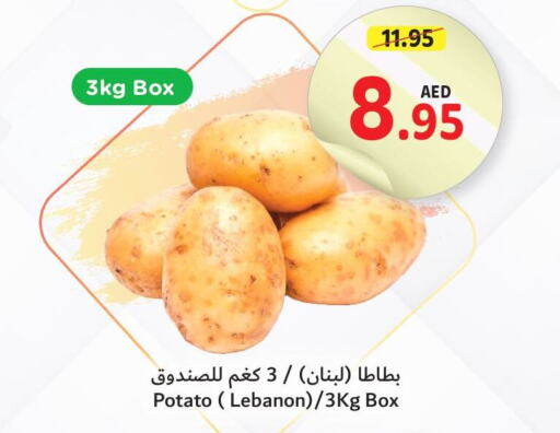  Potato  in تعاونية أم القيوين in الإمارات العربية المتحدة , الامارات - الشارقة / عجمان