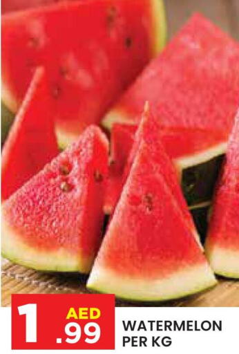  Watermelon  in سنابل بني ياس in الإمارات العربية المتحدة , الامارات - أبو ظبي