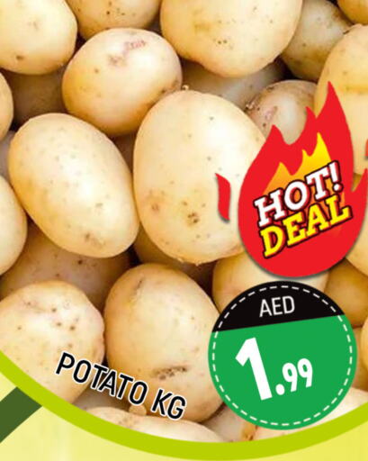  Potato  in المدينة in الإمارات العربية المتحدة , الامارات - دبي