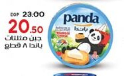 PANDA   in Galhom Market in Egypt - Cairo