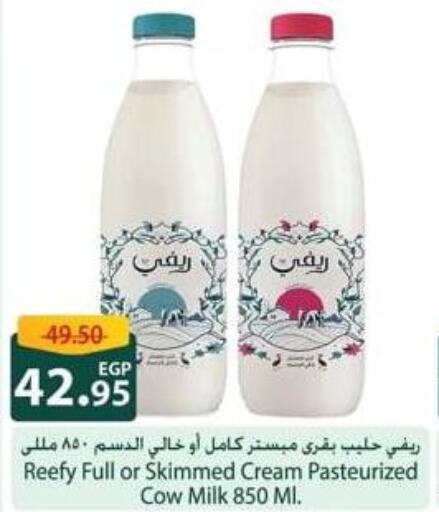  Full Cream Milk  in Spinneys  in Egypt - Cairo