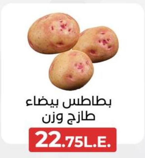  Potato  in عرفة ماركت in Egypt - القاهرة