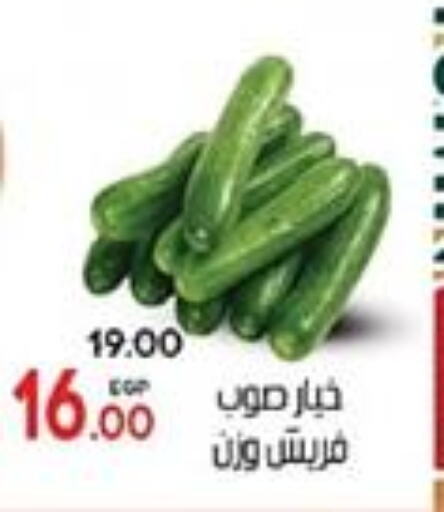  Cucumber  in جلهوم ماركت in Egypt - القاهرة