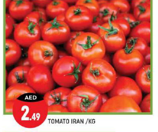  Tomato  in Shaklan  in UAE - Dubai